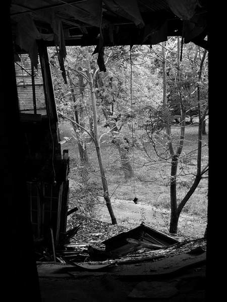 Room With a View
