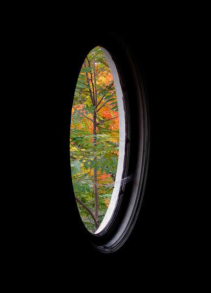 Oval Window
