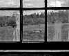 Window View