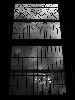 Stained Glass