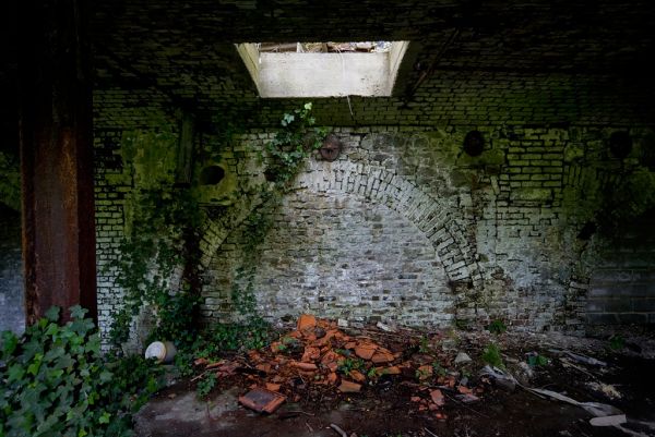 Arches of Ivy