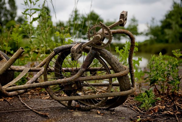 Muddied
