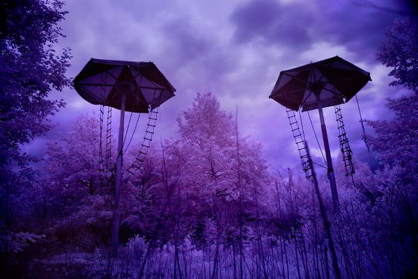 Sentinels