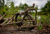 Muddied