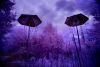 Sentinels