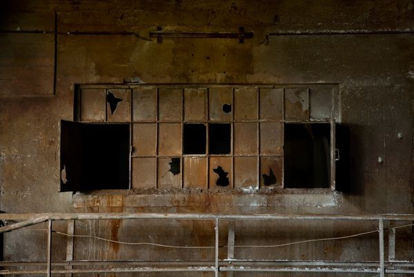 Subfuscous