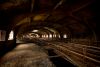 Caverns Up High