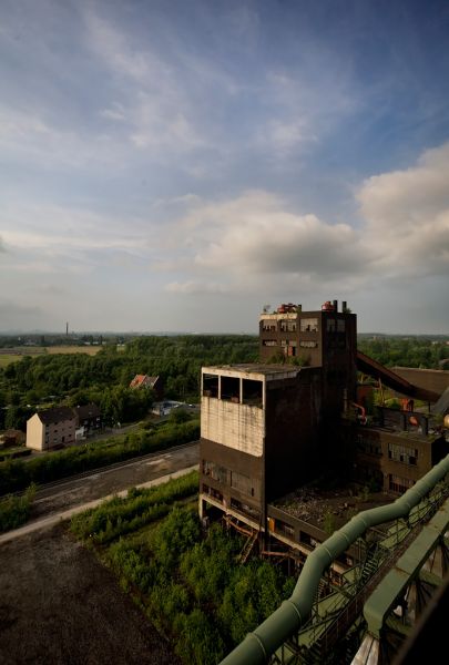 Industry Abroad