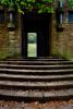 Damp Stone