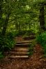 Path to the Ruins