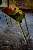 Stilted
