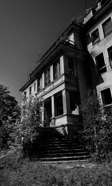 Steps