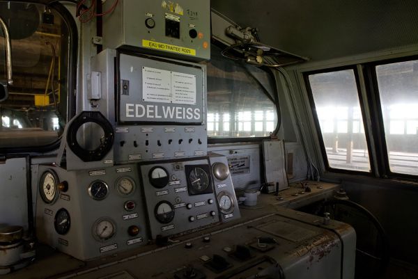 Edelweiss