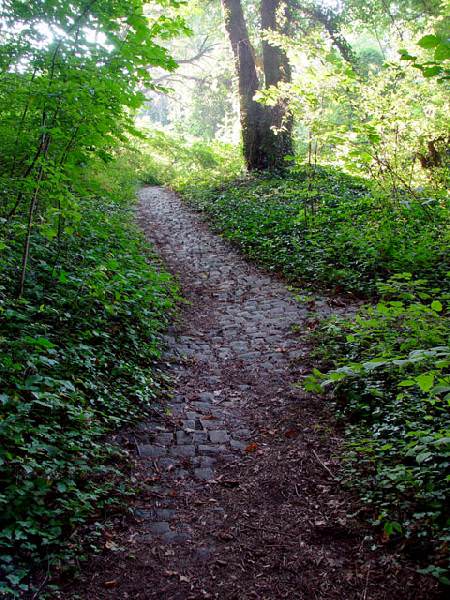 Path