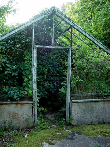 Green Inside