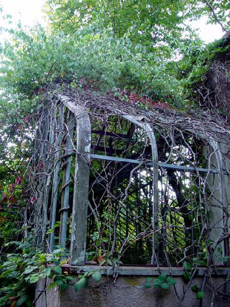 Greenhouse