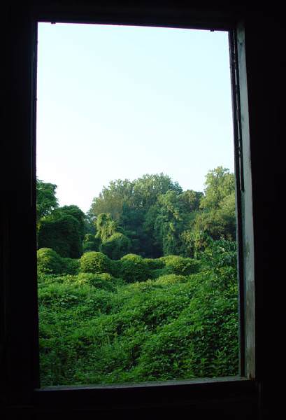 Window