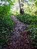 Path