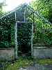 Green Inside