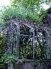 Greenhouse
