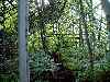 Inside the Greenhouse