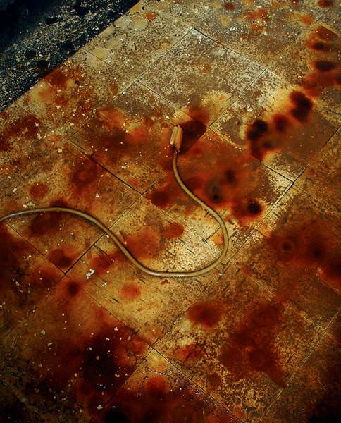 Detritus