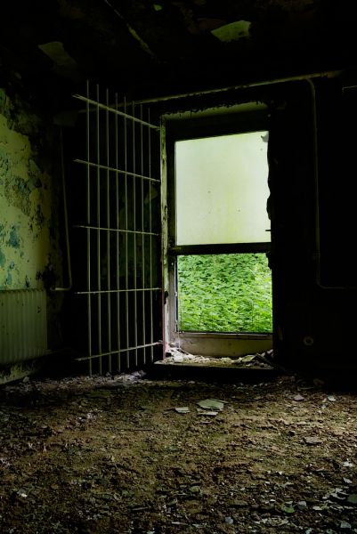 Wall of Weeds