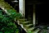 Greenery
