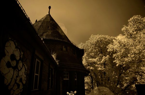 Shadowed Tower