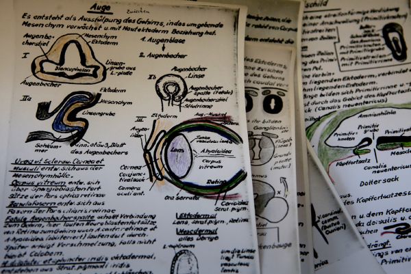 Notes