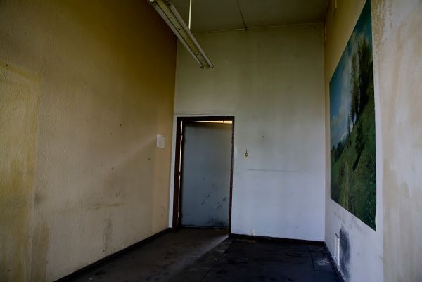 Barren Scene