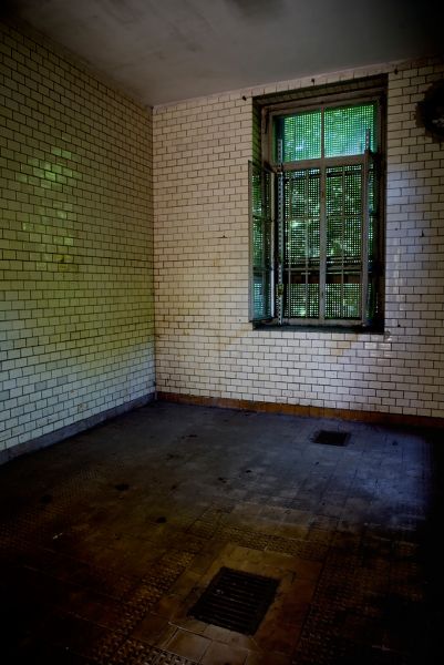 Tiled and Clean
