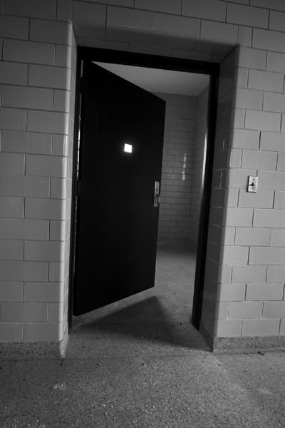 The New Ward
