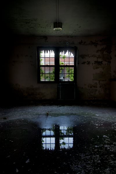 Tattered Reflection