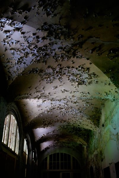 Vaulted Duotone