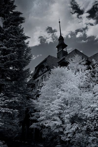 Spire