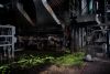 Toxic Pond