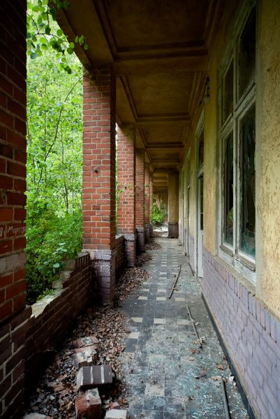 Narrow Pavilion