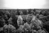 Birds Eye