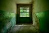 Greenery