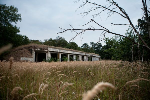 Shelter