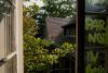 Roofline