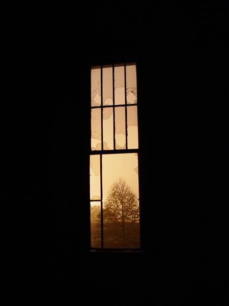 Artificial Light