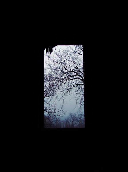 Window