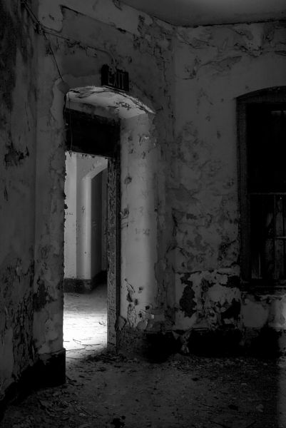 Farewell, Light