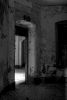 Farewell, Light