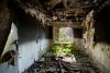 Charred