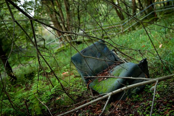 Fallen