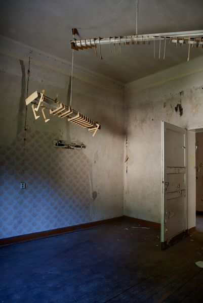 Skeletal