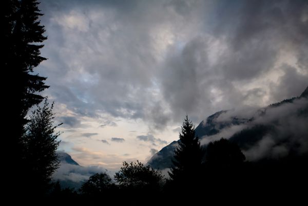 Evening Vista